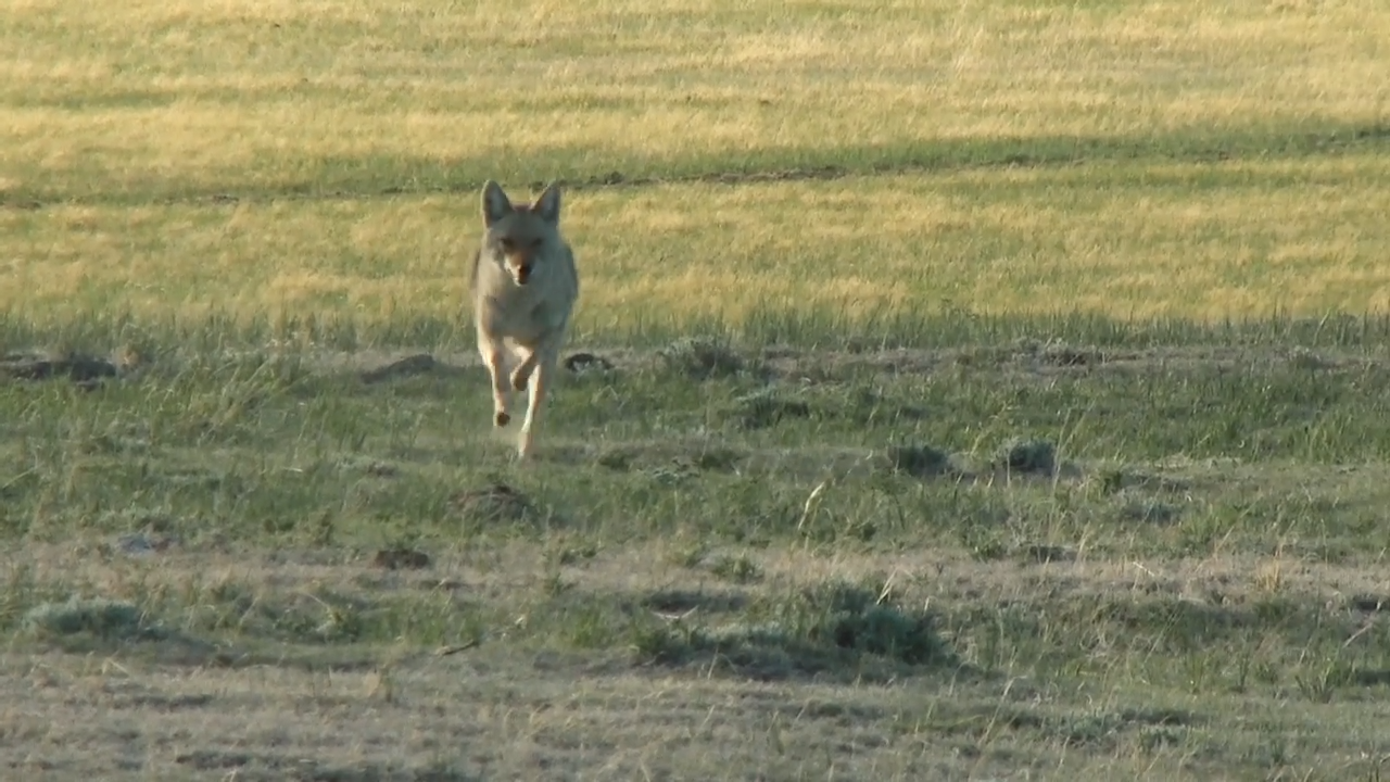 Snow Make Up Hunt episode thumbnail