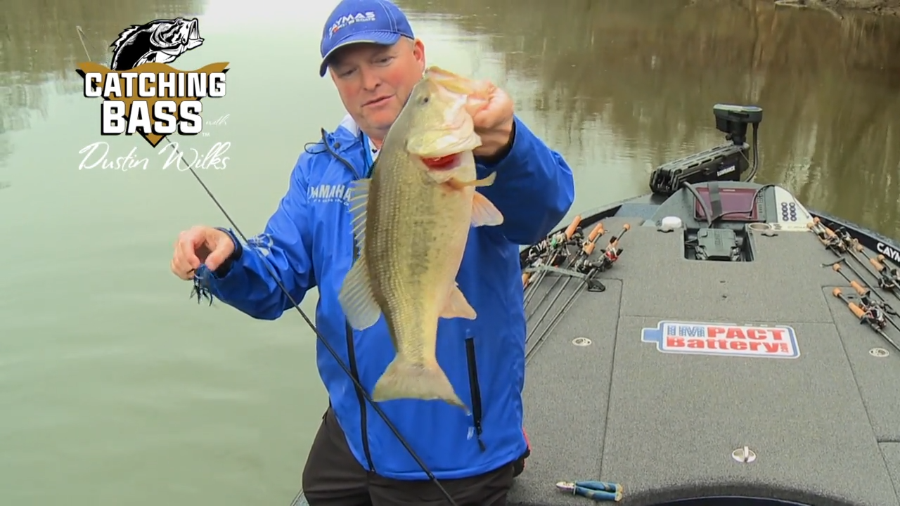 Finding Pre-Spawn Bass episode thumbnail