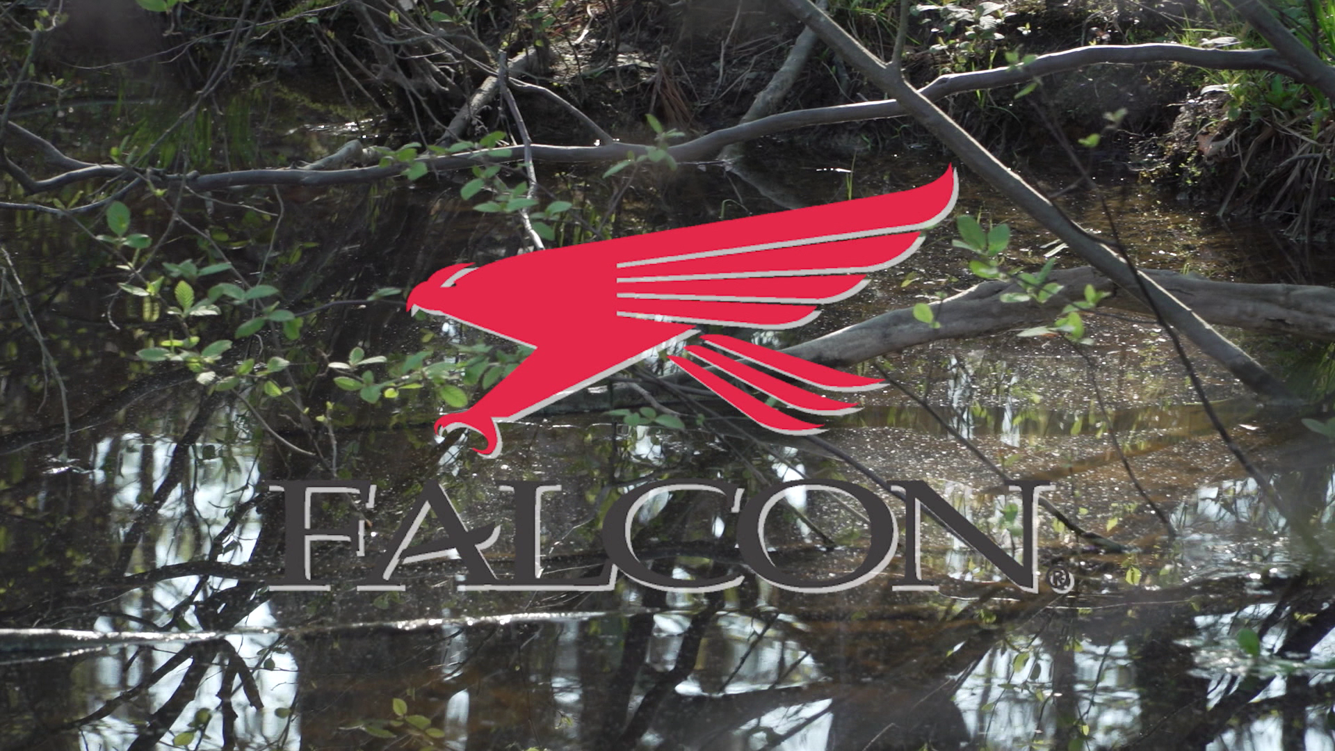 Looking for Signs episode thumbnail