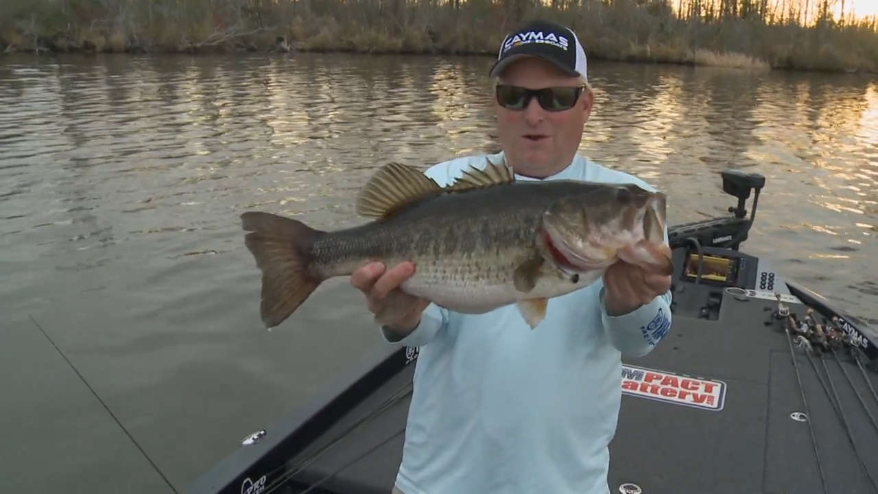 All About Timing episode thumbnail