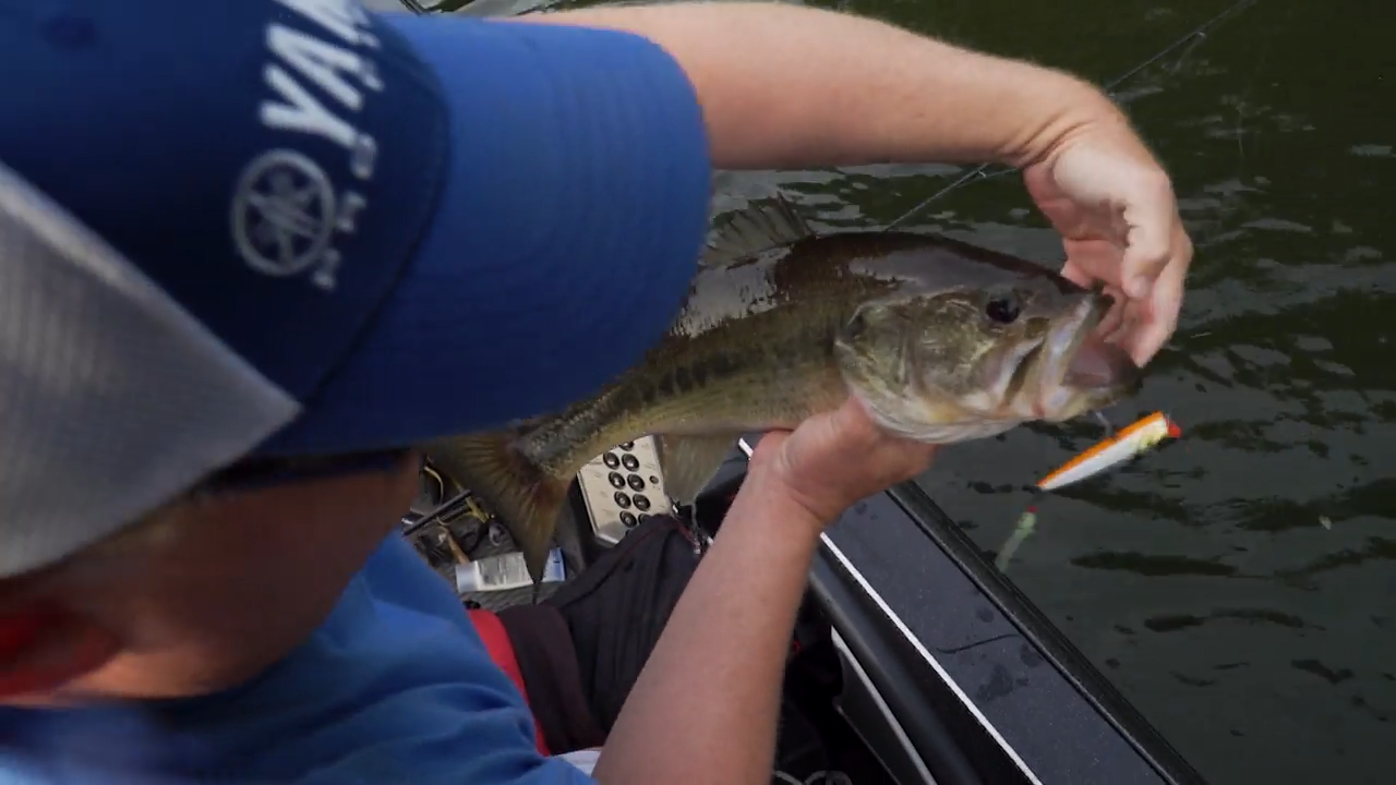 Clearly Post Spawn episode thumbnail