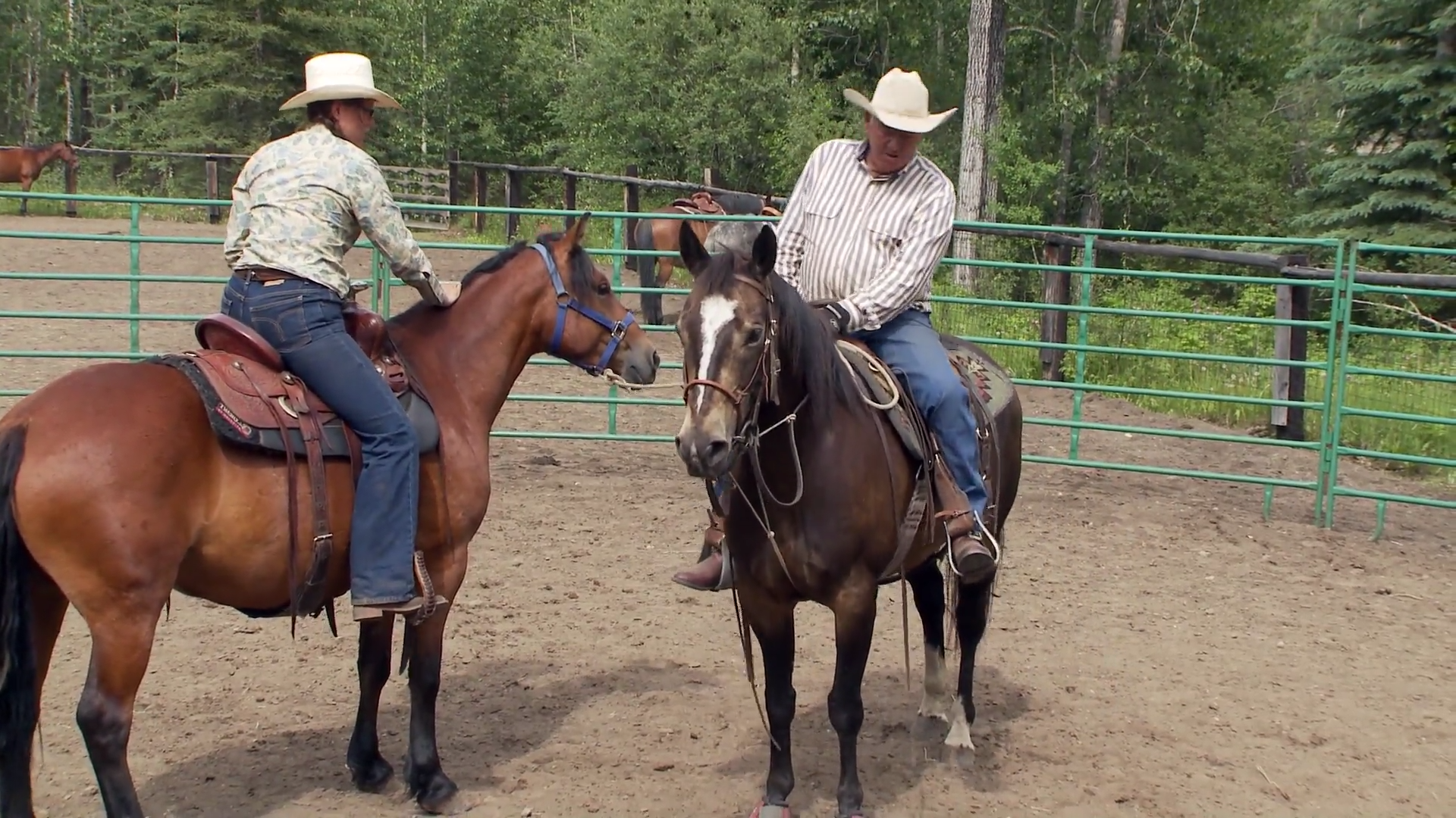 Wildie episode thumbnail