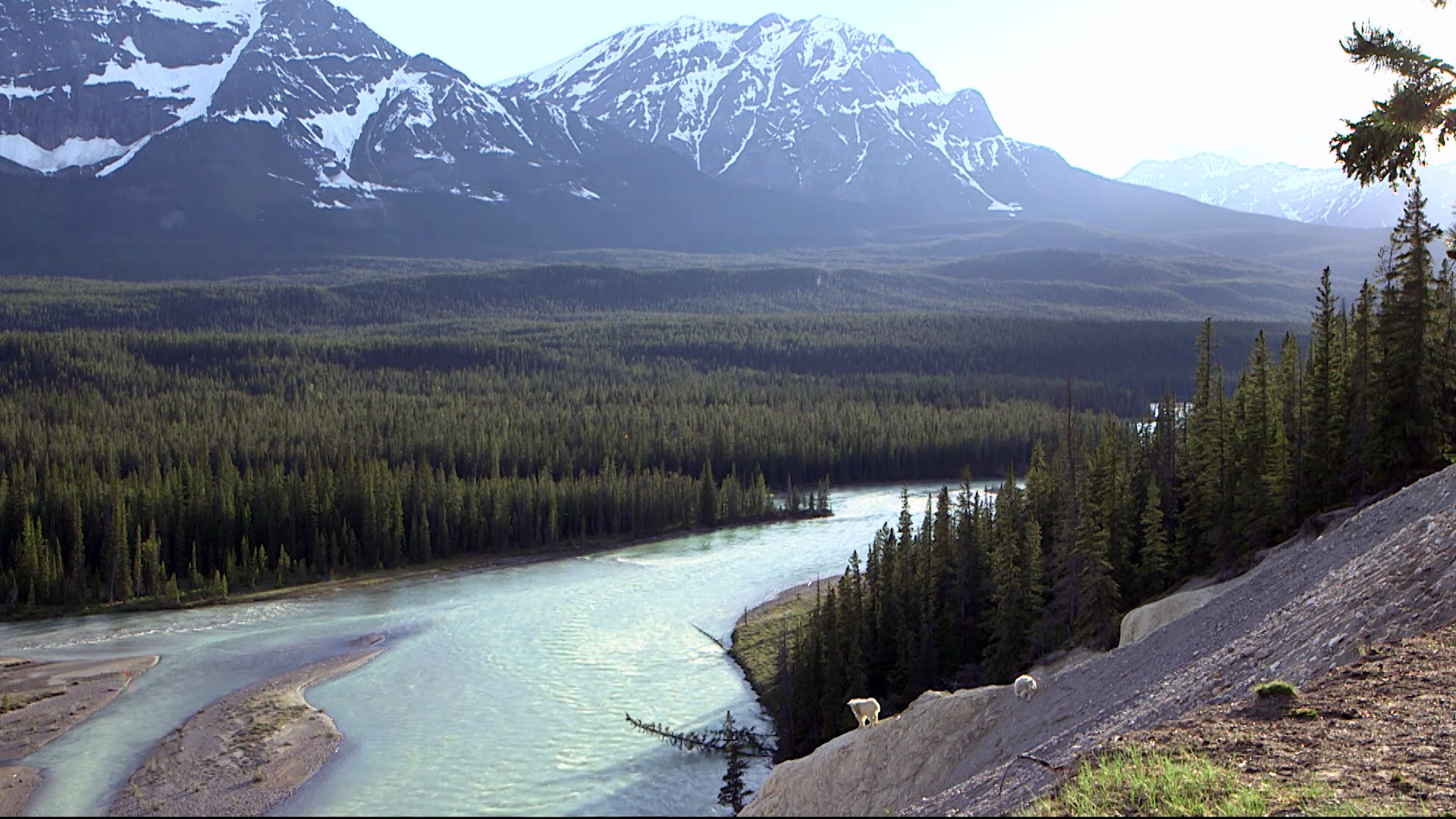 Ancestors Calling episode thumbnail