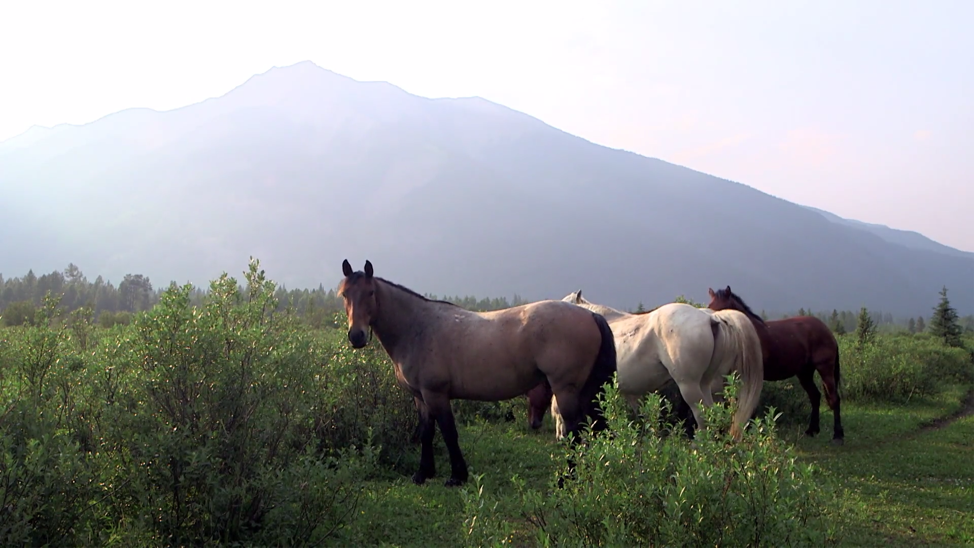 Spirit of the Rockies episode thumbnail