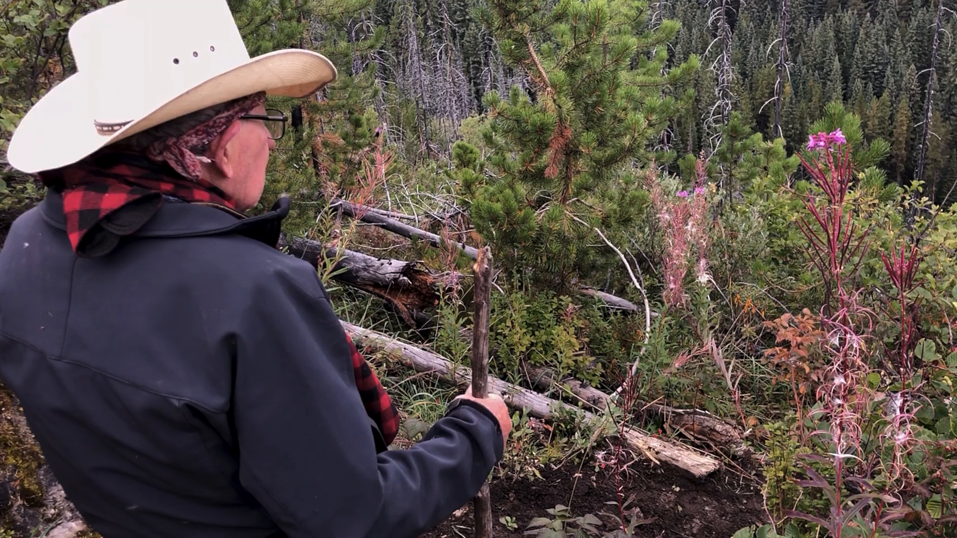 Mountain Medicine - Part 1 episode thumbnail