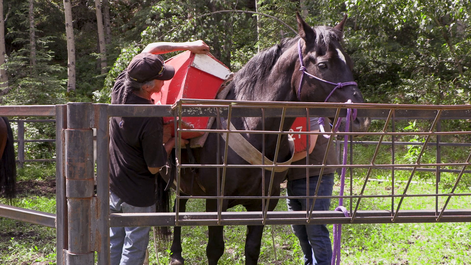 The Call to Adventure: The Larry Nelles Clinic episode thumbnail