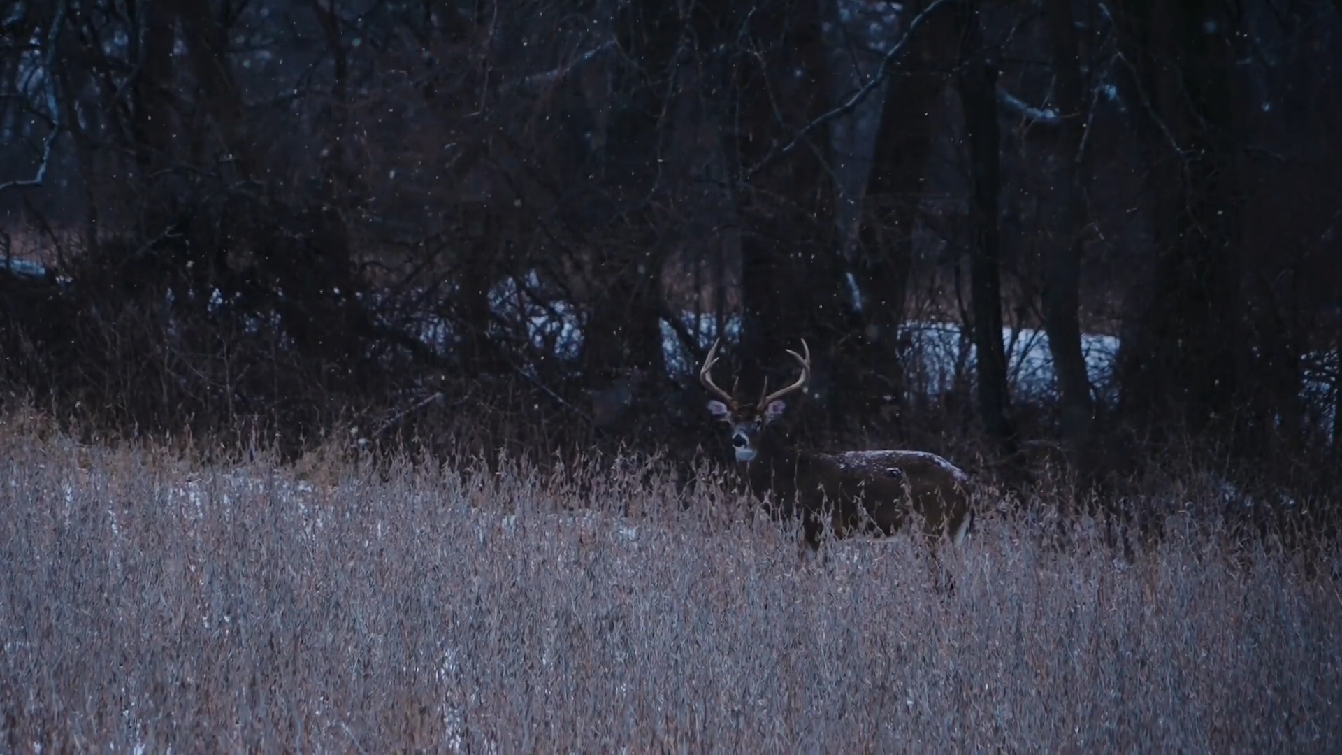 The Legend of Marino Ends episode thumbnail