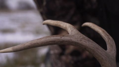 Assets & Appetite episode thumbnail