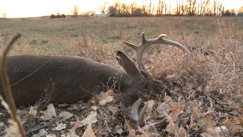 Whitetails and Wind episode thumbnail