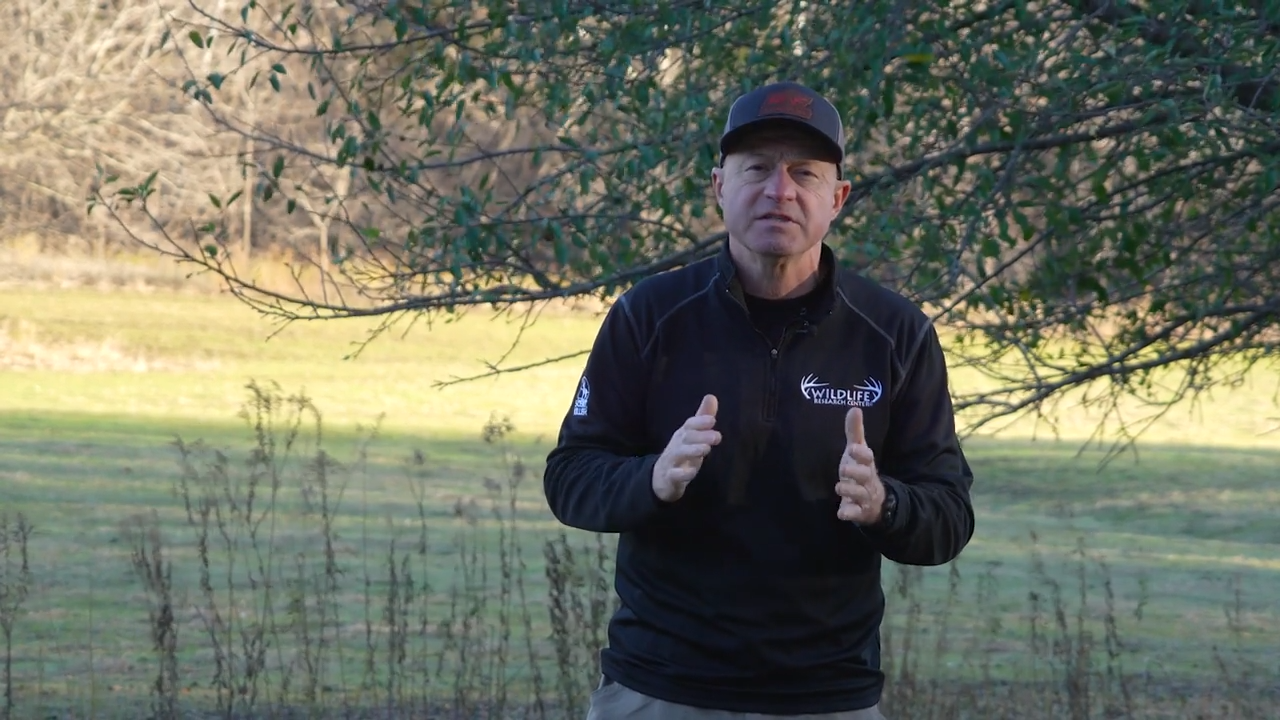 Advanced Food Plots episode thumbnail