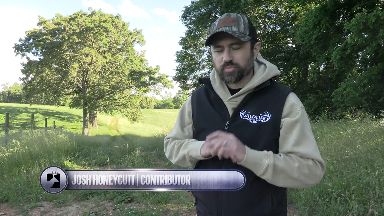 Down to the Core episode thumbnail