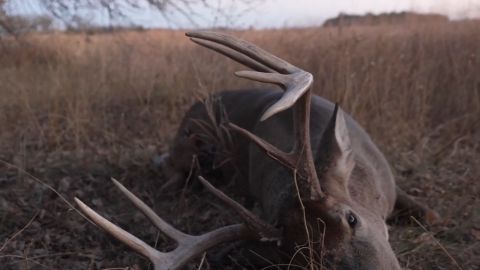 Stalking the Sandhills episode thumbnail