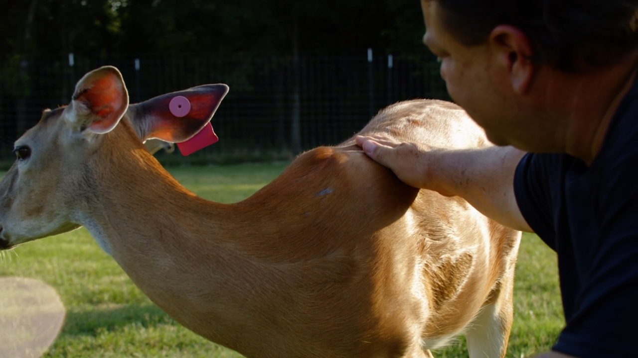 Oklahoma Deer Farm Showcase episode thumbnail