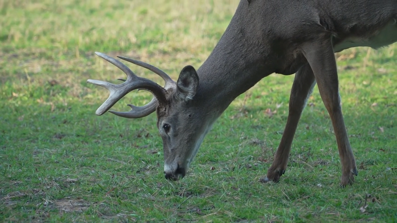 Mastering Management episode thumbnail