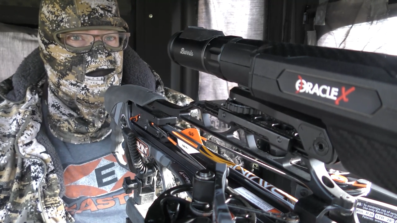 Hunting at Eye Level episode thumbnail