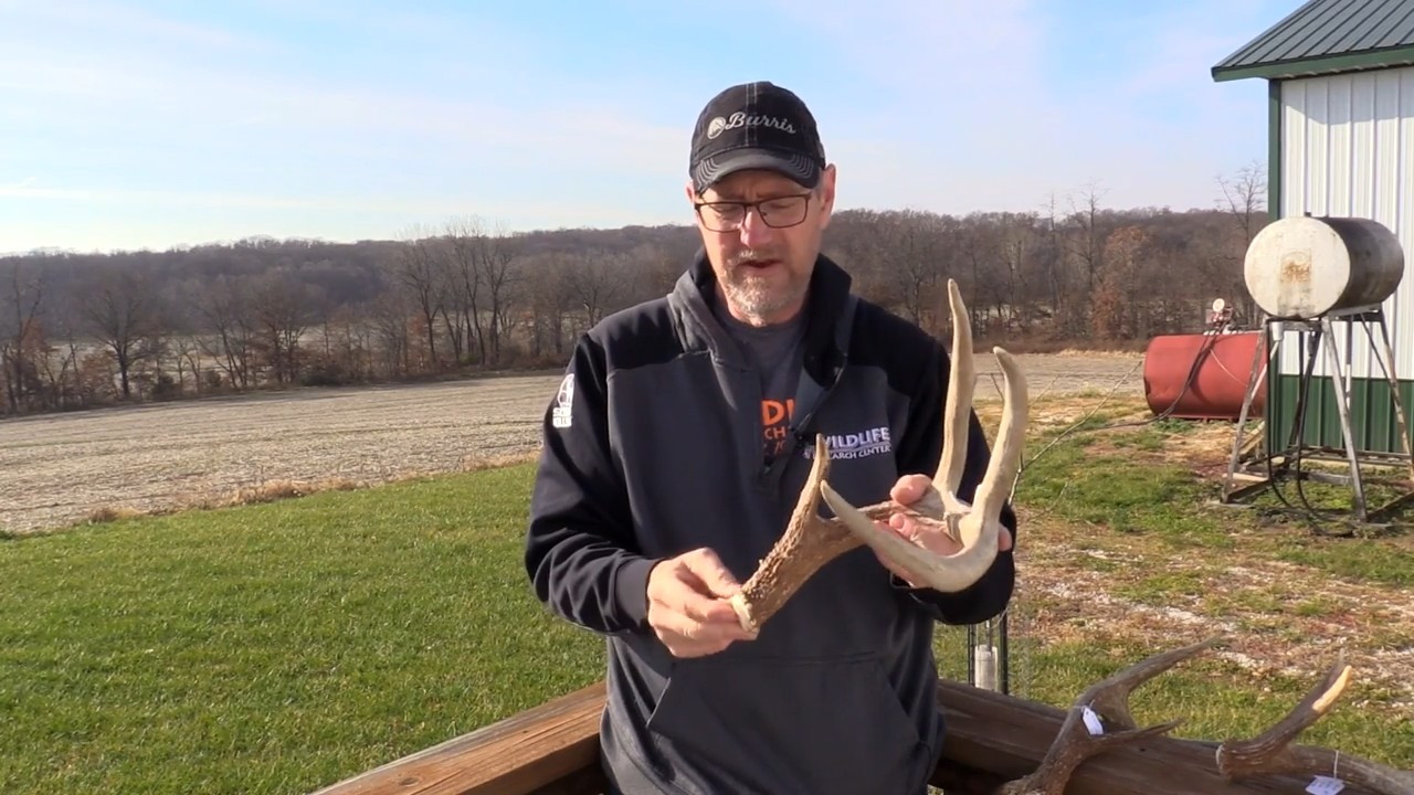 Redefining Deer Comfort episode thumbnail