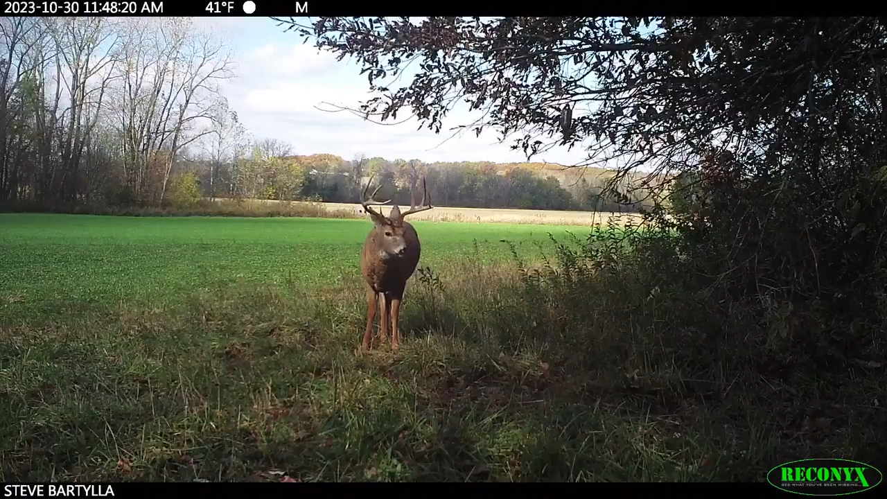 The Vanishing Bucks episode thumbnail