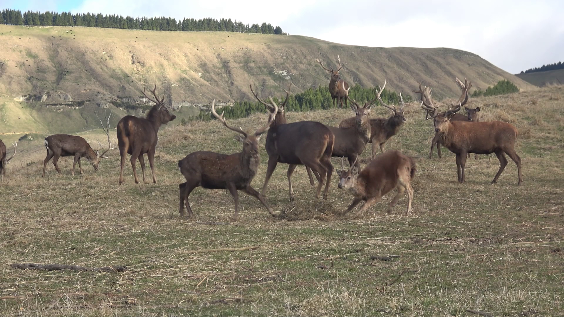 This Never Gets Old -  Africa Part 1 of 7 episode thumbnail