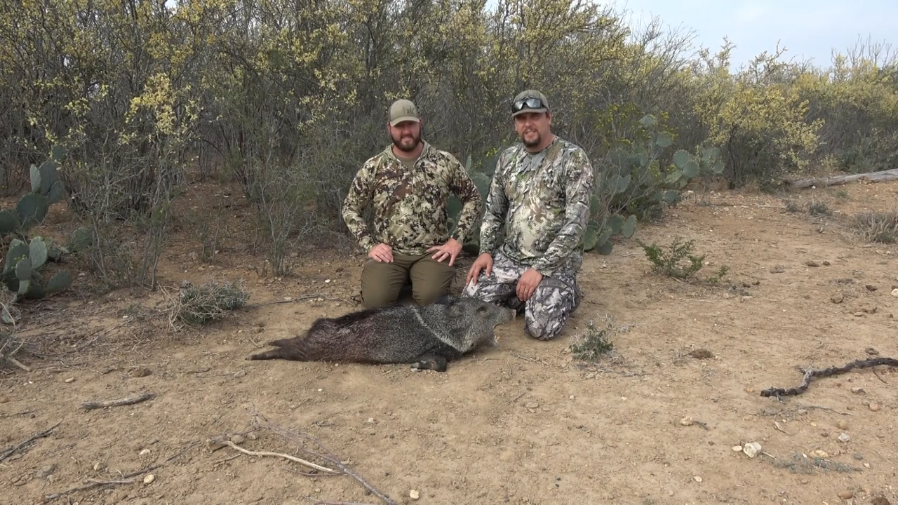 South Texas Hog & Javelina Hunting - Part 2 episode thumbnail