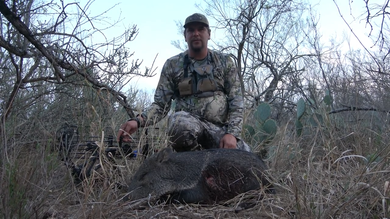 South Texas Javelina Hunting - Part 3 episode thumbnail
