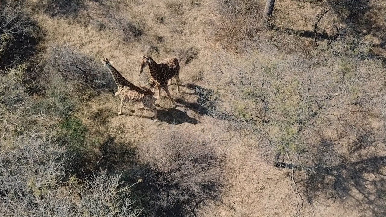 An African Icon - Africa Part 3 of 7 episode thumbnail