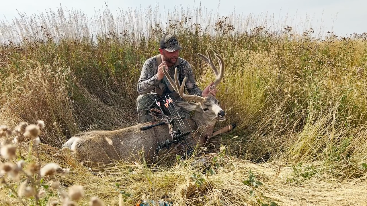 Alberta Mule Deer Buck episode thumbnail