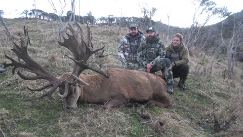 New Zealand Alpine Stag Hunting: Part 5 episode thumbnail