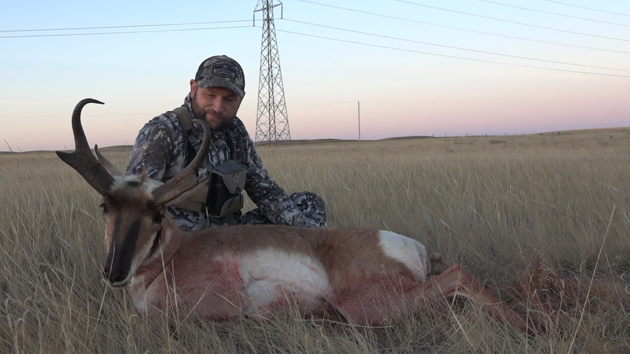 The Speed Goat episode thumbnail