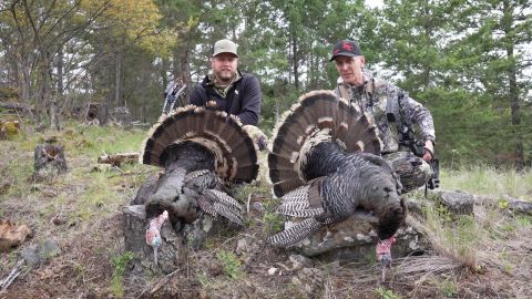 Montana Turkey Bow Hunts: Part 2 episode thumbnail