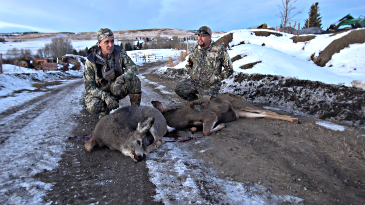 Muzzleloading Meat Hunts episode thumbnail