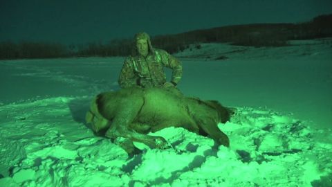 Alberta Archery Elk episode thumbnail