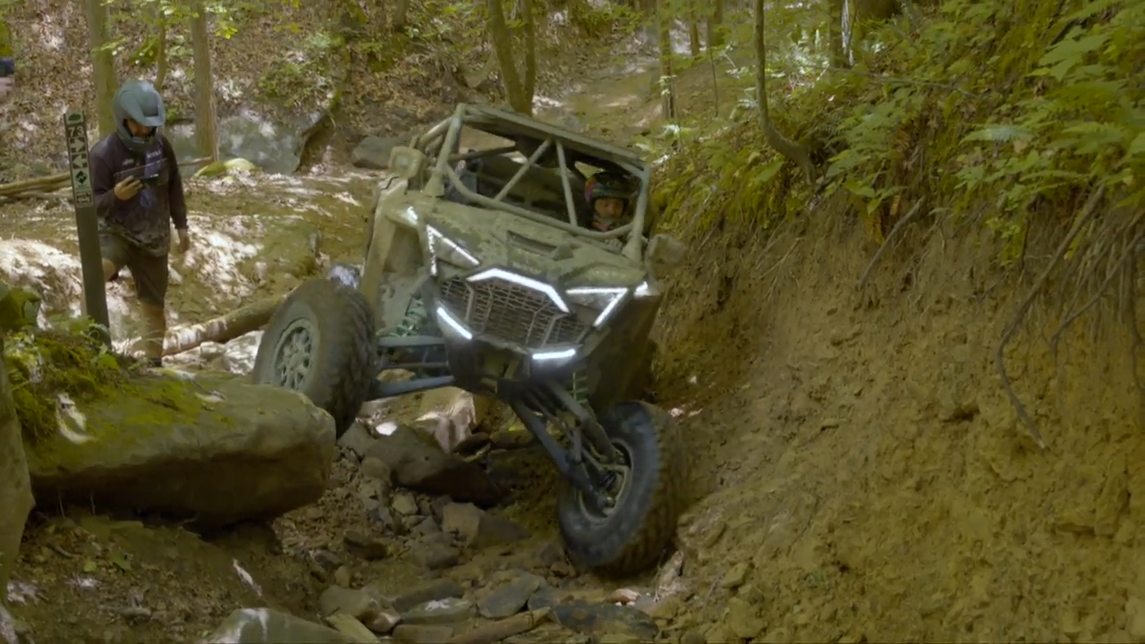 Wild 'N Beautiful episode thumbnail