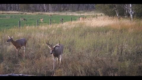 Bent Beam Part 2 episode thumbnail