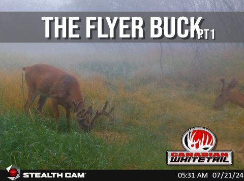 Flyer Buck Part 1 episode thumbnail