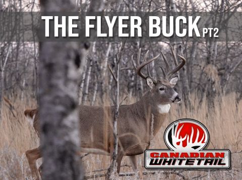 Flyer Buck Part 2 episode thumbnail