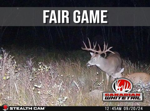 Fair Game episode thumbnail