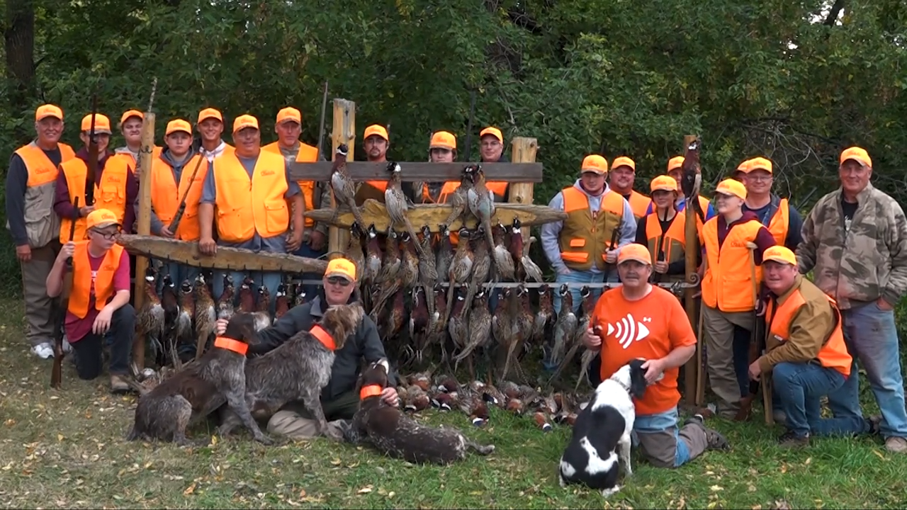 From Fur to Feathers episode thumbnail