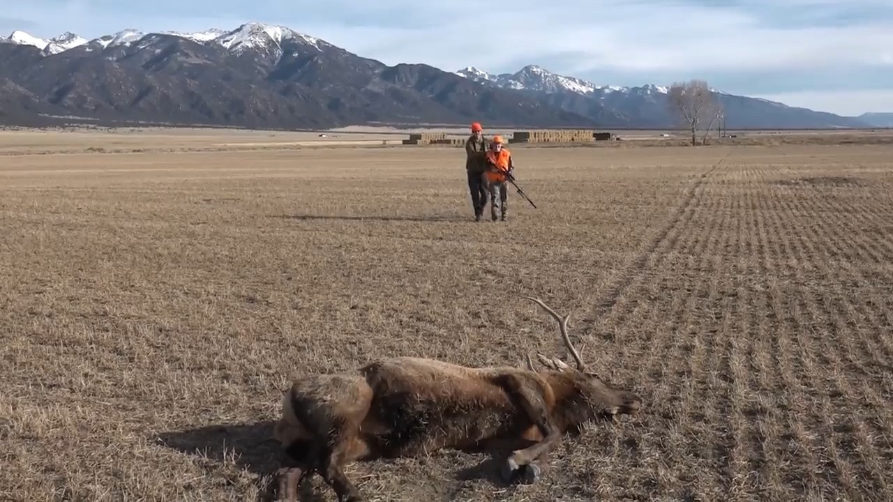 Big Bucks and Bunched up Bulls episode thumbnail