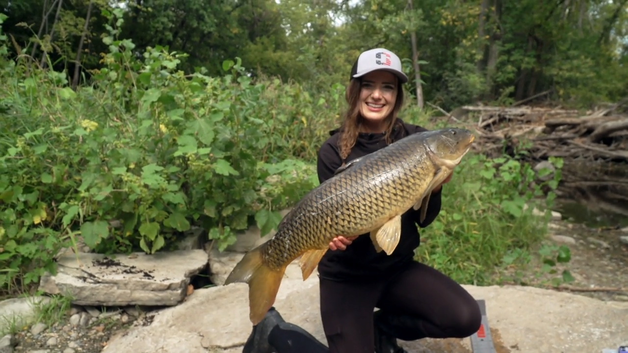 Miss Fish Whisperer episode thumbnail