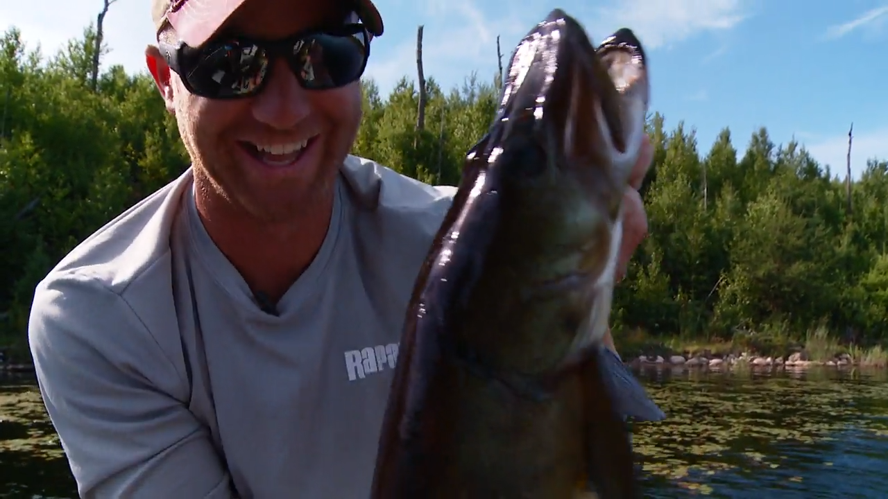 The Firefly episode thumbnail