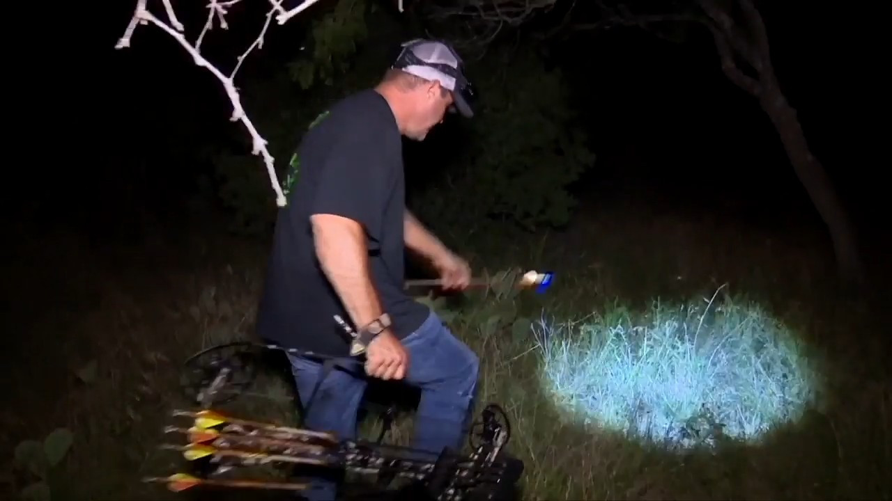 Hogs After Dark episode thumbnail