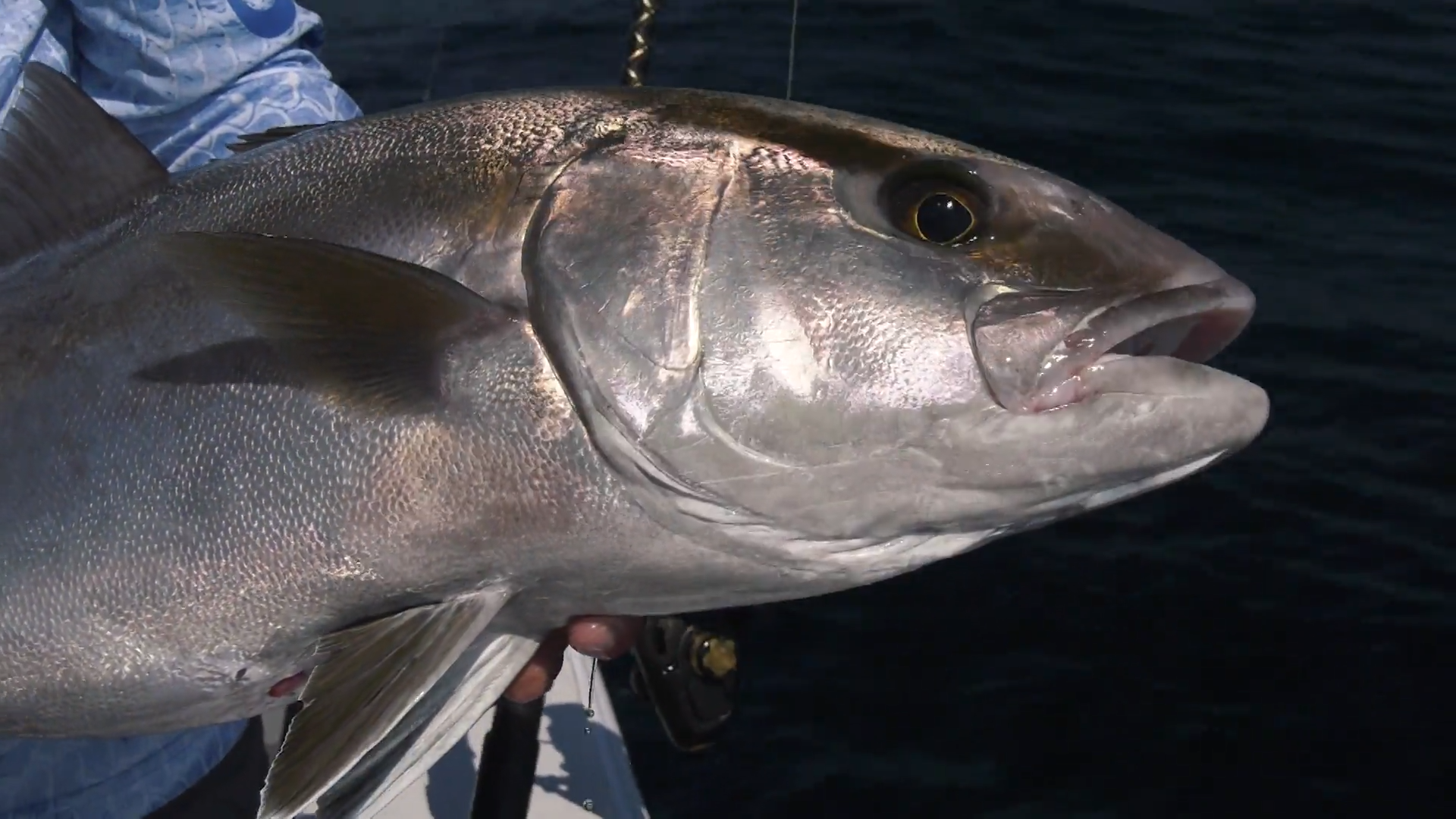 Summer Wind episode thumbnail