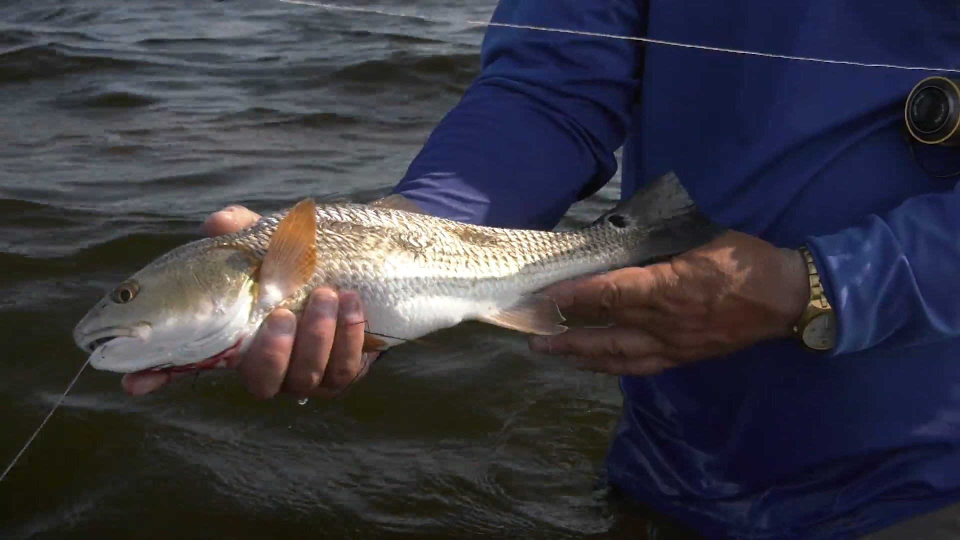 Kings Over Cuda episode thumbnail