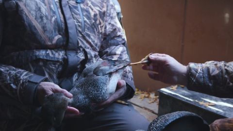 World Champion Carver and some Missouri Greenheads episode thumbnail