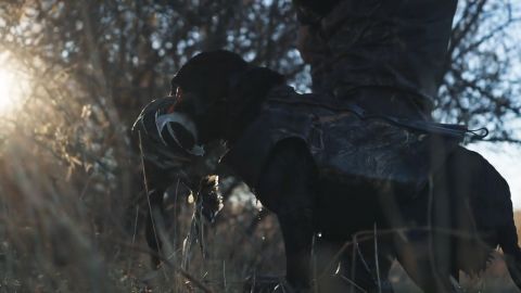 The Smallest Montana Ditch and Cali Specks episode thumbnail