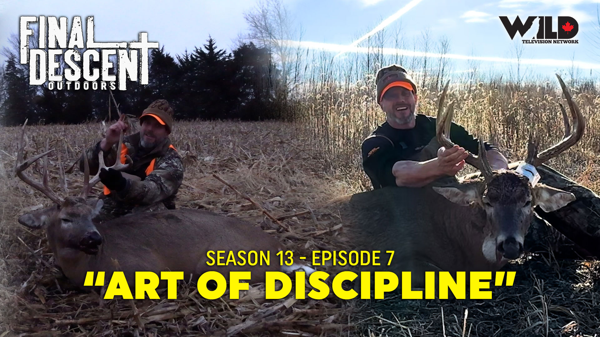Art of Discipline episode thumbnail
