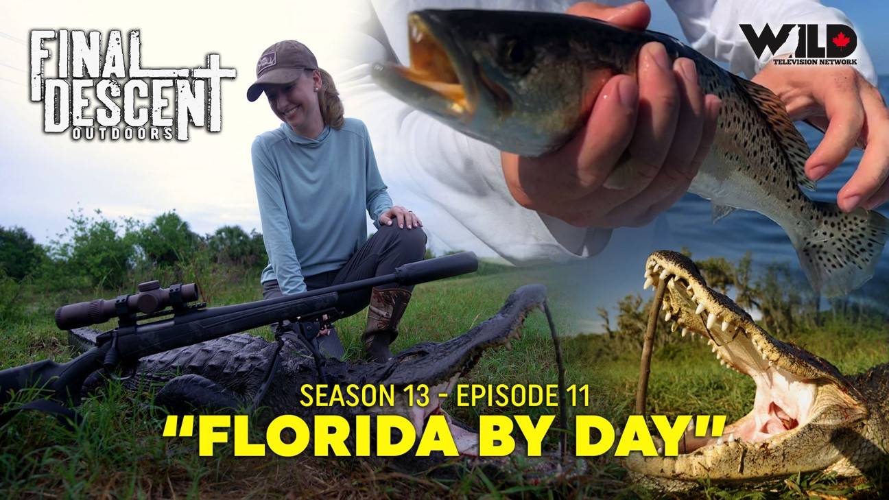 Florida By Day episode thumbnail