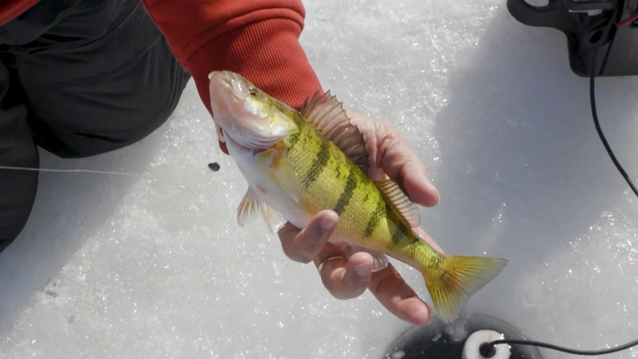 Cheboygan Ice Saga episode thumbnail