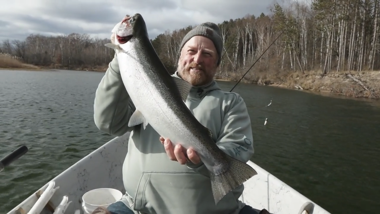 Oscoda's Steelhead Shadows episode thumbnail