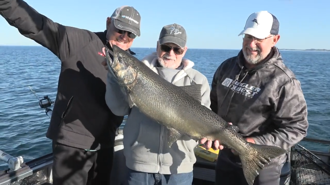 Holland's Coho Chronicles episode thumbnail